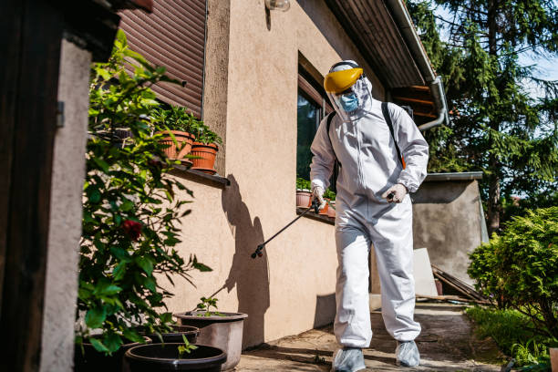 Best Local Pest Control Services  in Ville Ptte, LA