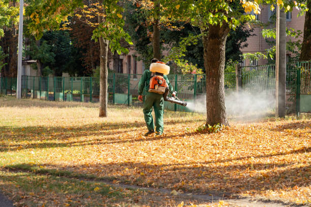 Ville Platte, LA Pest Control Company